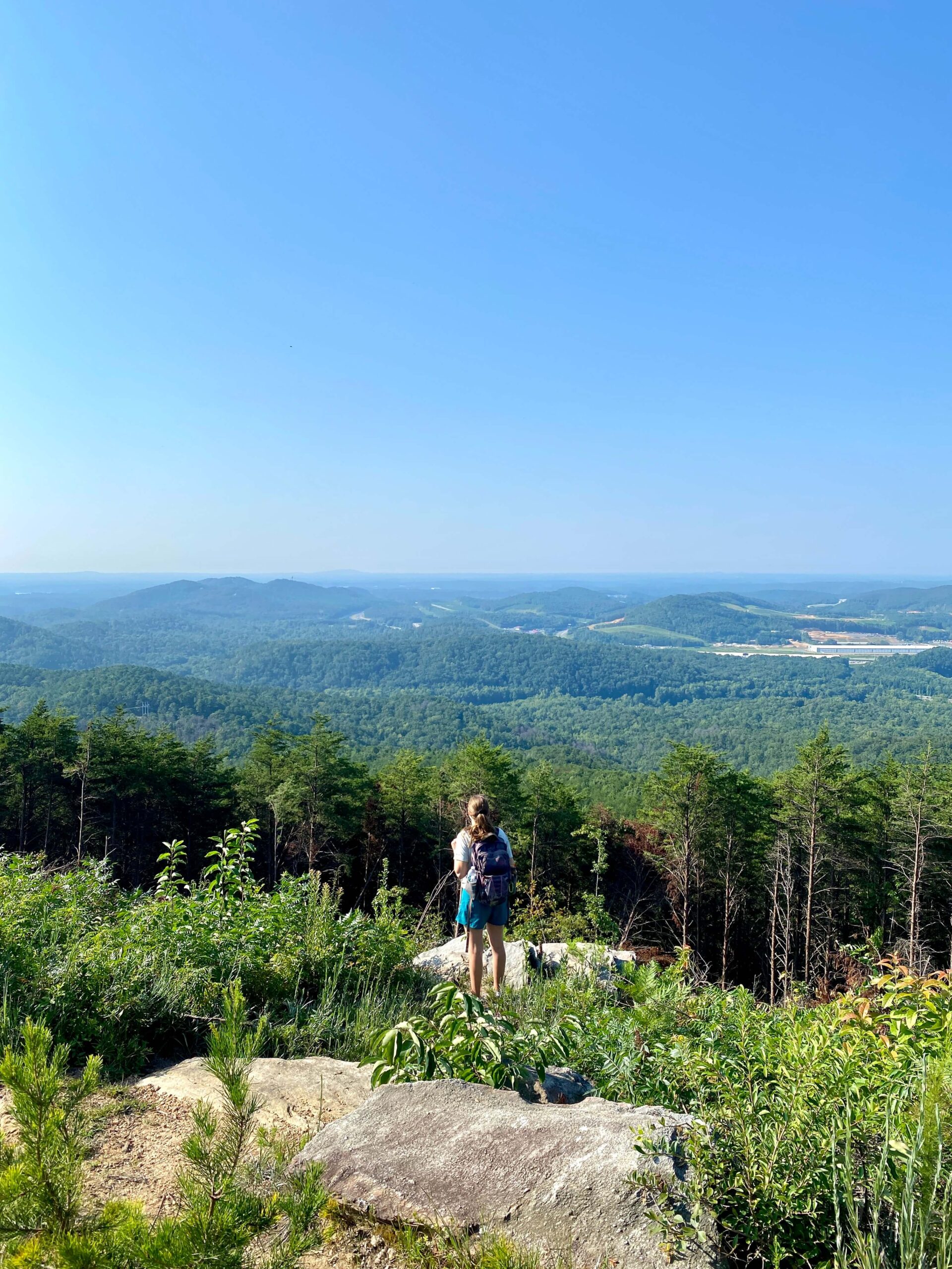 A hiker is looking out over the valley from the top of Pine Mountain with blue skies and green trees