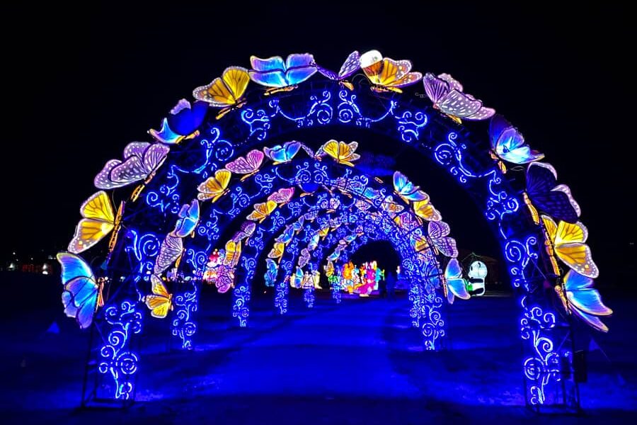 A blue, yellow, and pink lighted archway with butterflies at the Sealight Festival