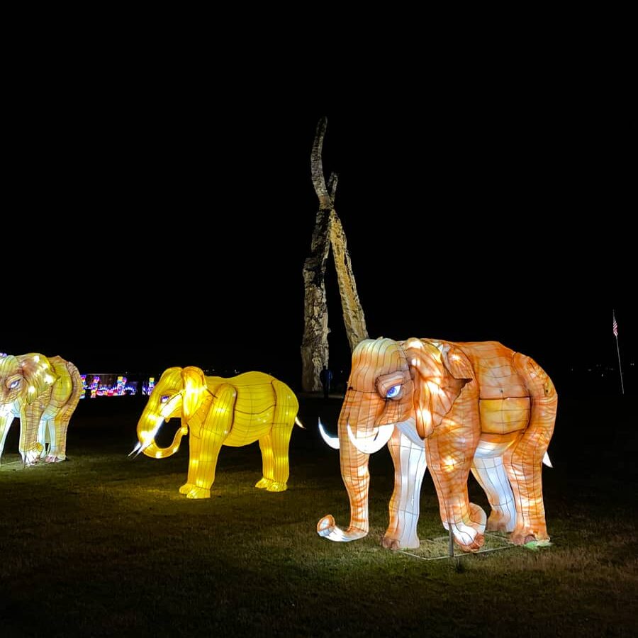 3 glowing elephant lanterns with a large Sculpture Fields art in the background