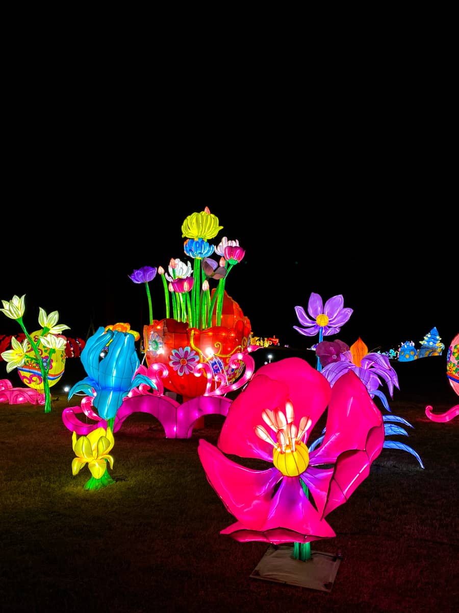 Colorful lantern display featuring many glowing flowers at the Sealight Festival