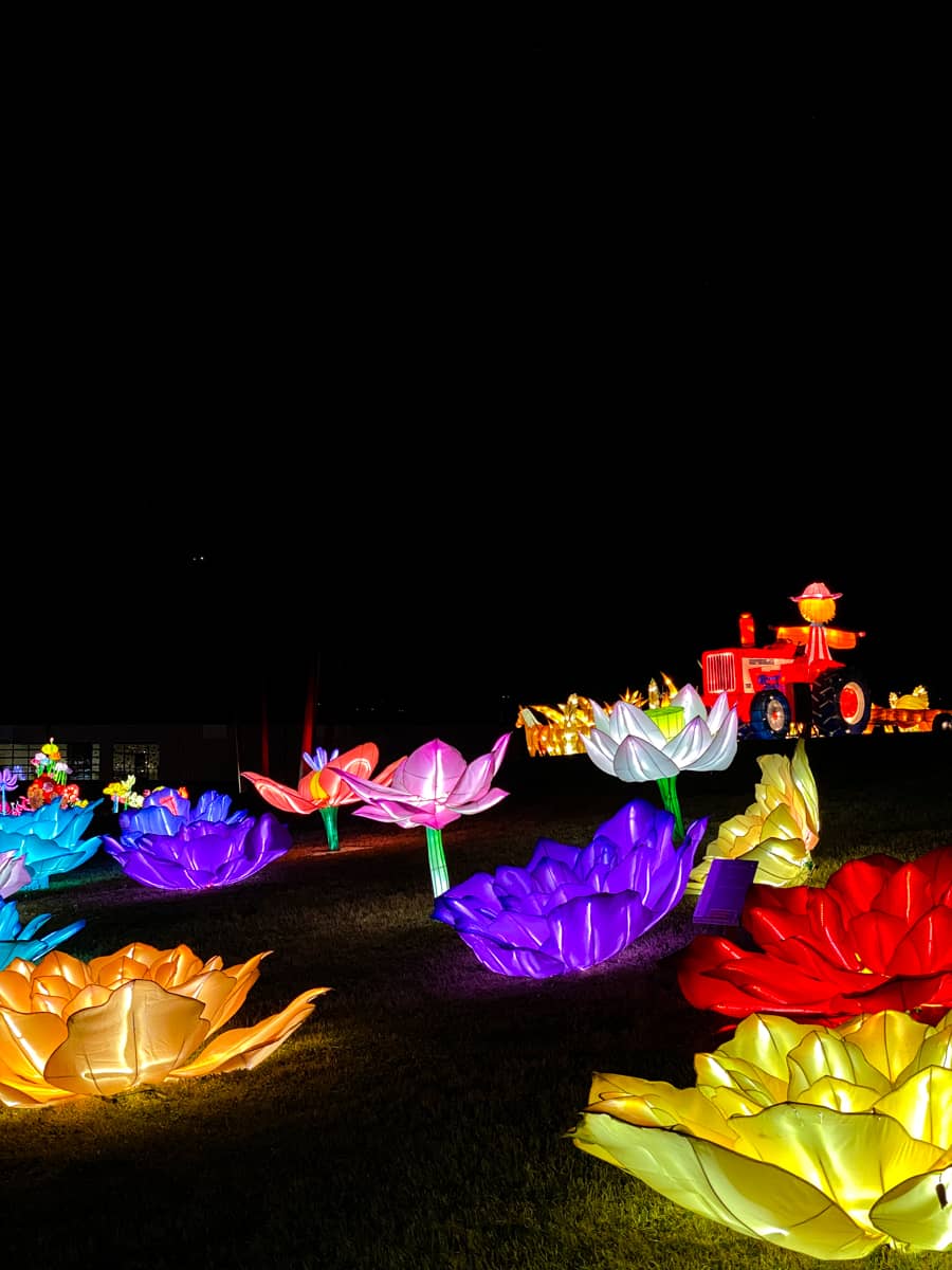 Multiple colorful flower lanterns scattered on the ground