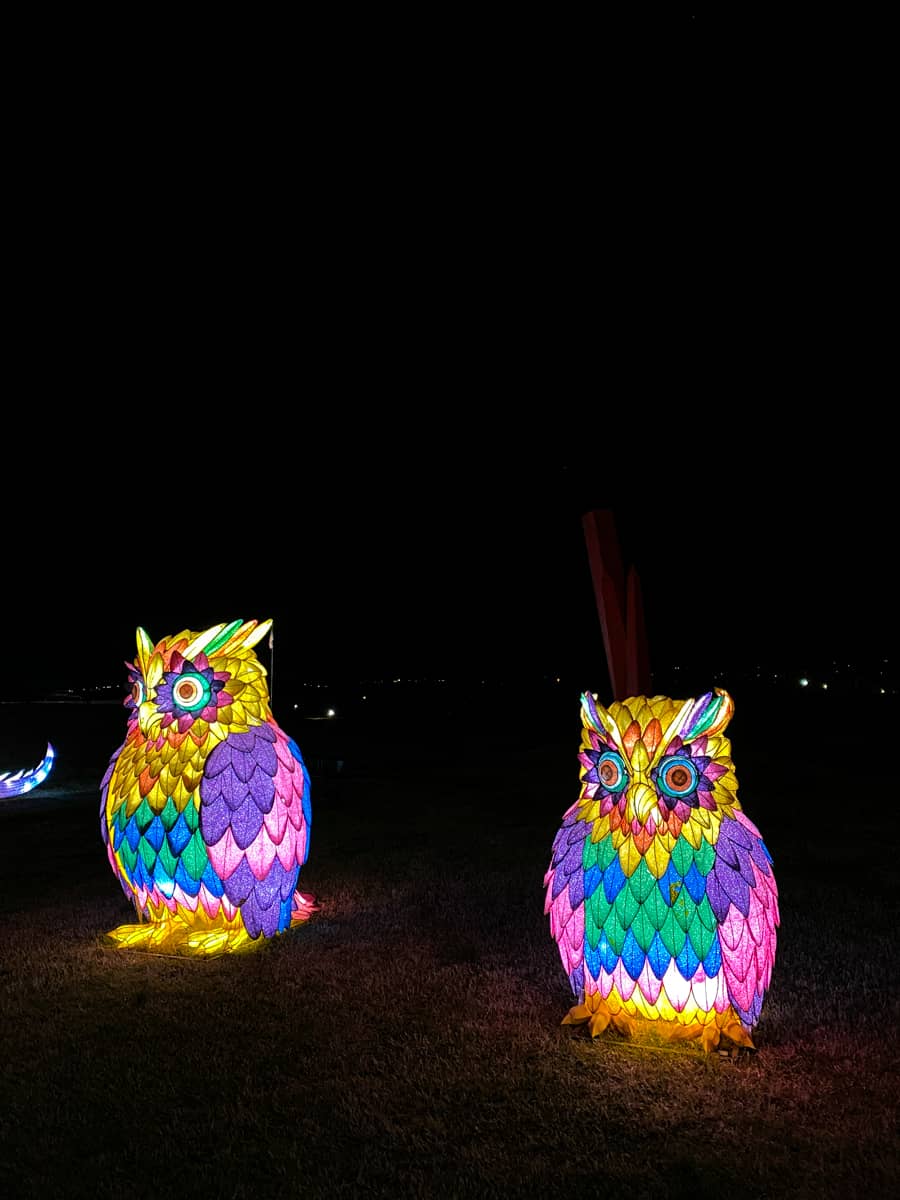 Two colorful owl lanterns stand together