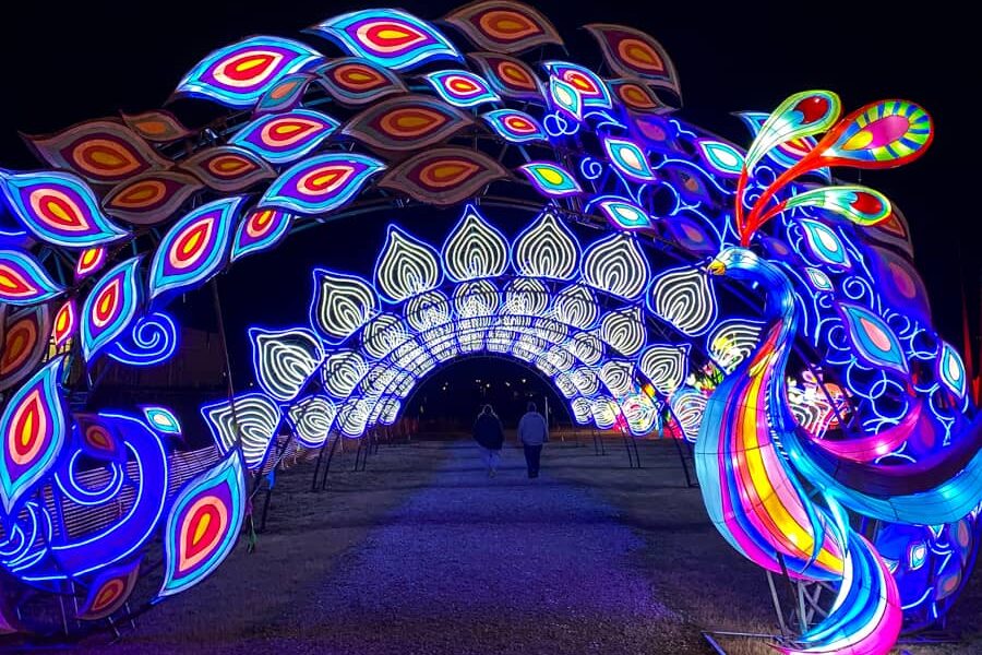 Blue, purple, and pink lighted archway with a peacock designed on the side