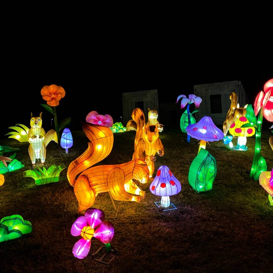 Woodland creature lanterns lighted up in all beautiful colors
