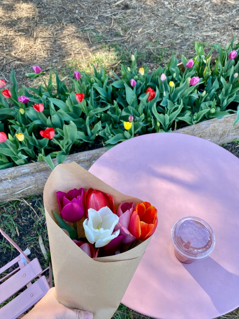 A bundle of picked tulips beside a cup of lemonade sitting on a pink table