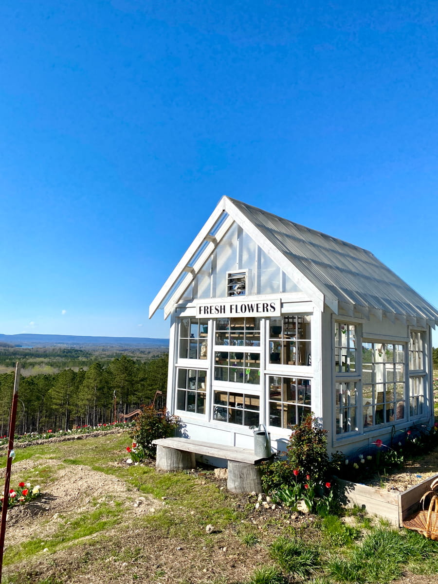The white greenhouse at Sanctuary Ridge Farm